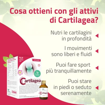 Migliora la salute delle tue cartilagini con Cartilagea, l’integratore ideale